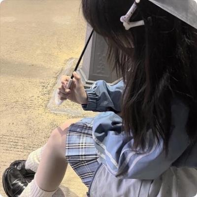 小鸟之翼第二季